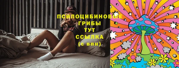 Альфа ПВП Костерёво