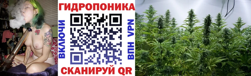 Купить закладки  Буинск  Бошки Шишки Bruce Banner 